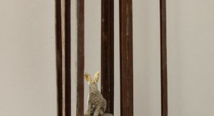 Haas met gouden oren 2012
Materiaal: Cortens staal, keramiek, papier mache	
Afmeting: Hoog 35cm.	