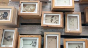 Via de tuin van Goethe, 't Oude Raadhuis Beek en Donk, 2013
Materiaal: Herbarium,lijstjes, pallet, 