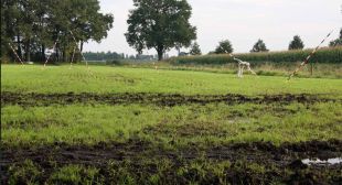 Dieptemeter, 2010, Diessen
Materiaal: Ongebakken klei,betonijzer, pur	
Afmeting: Hoogte 230cm.	
