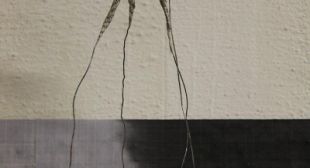 'Er is eens', 2010, Podium DAK, Geldrop
Materiaal: Laserprints, acrylverf, diversen	
Afmeting: 540
