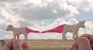 Fotografie
Materiaal: Kinderklei, 2010, Zeeuws Vlaanderen
Afmeting: nvt