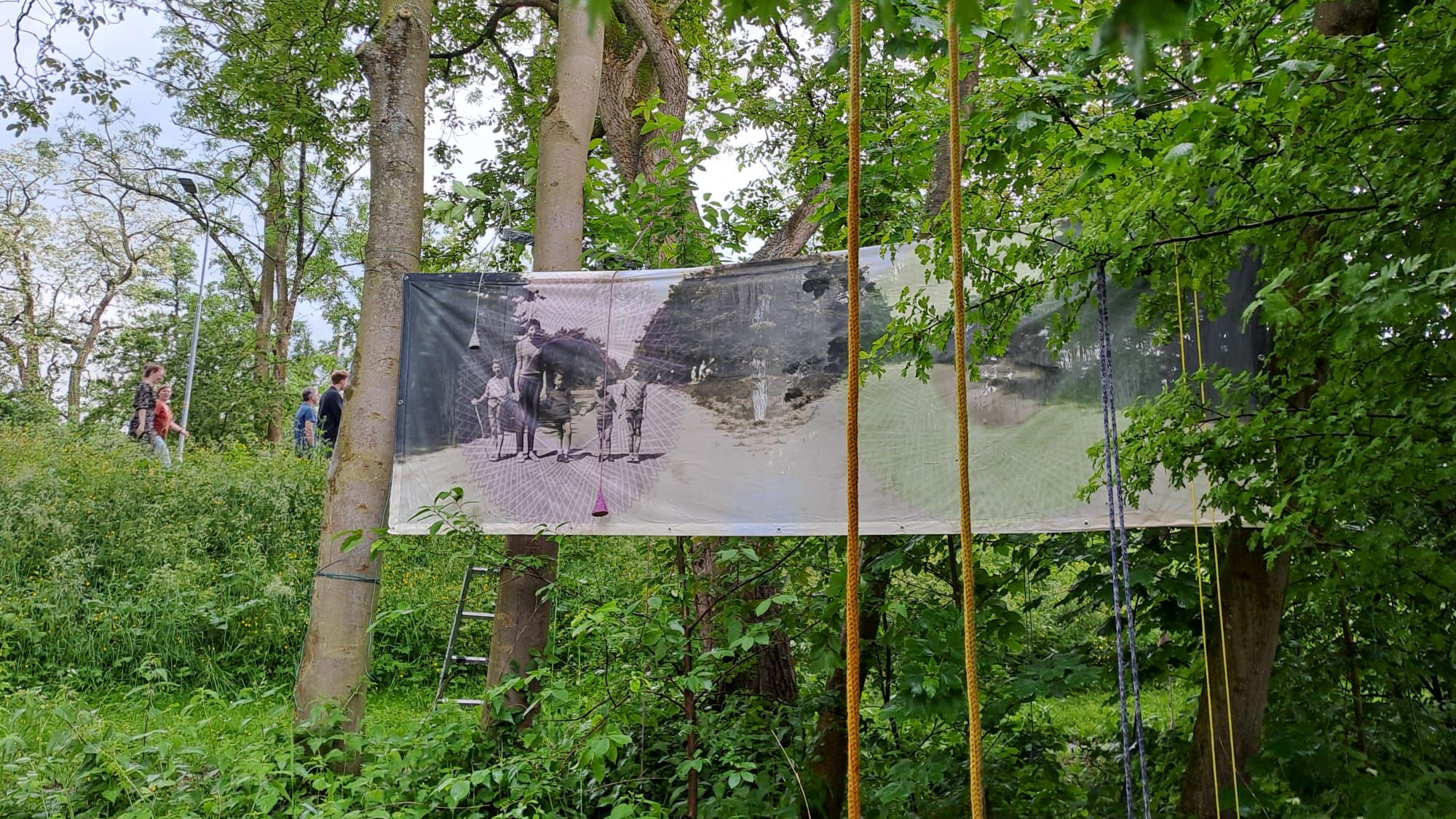 Ode aan de Linge, 400cm. 2024