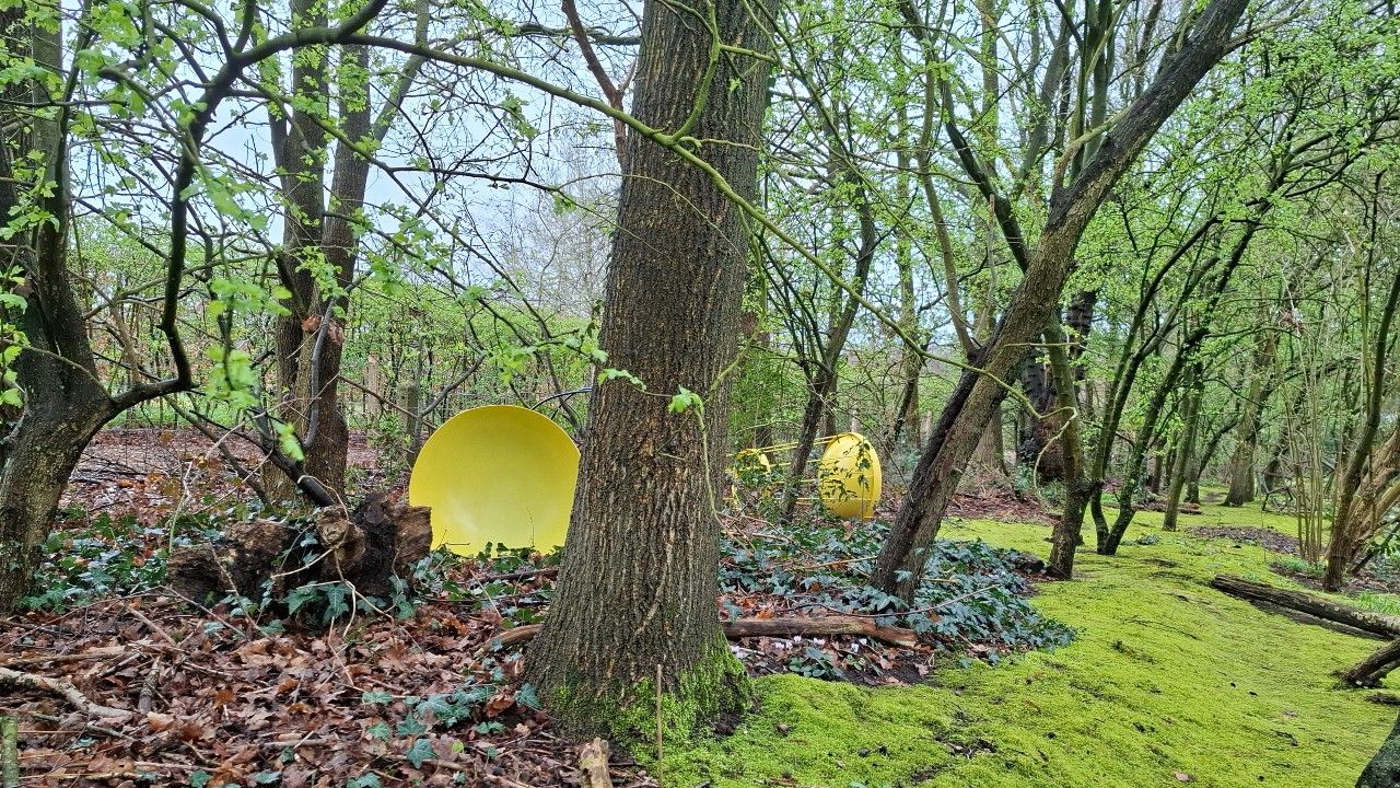 TAK Art Space Ermelo 2026